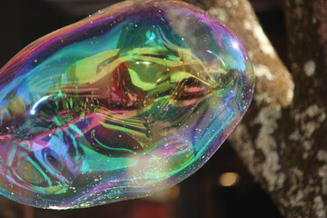 Large soap bubble with rainbow colours in it floating in the air with a tree in the background. Winter Magic Festival.