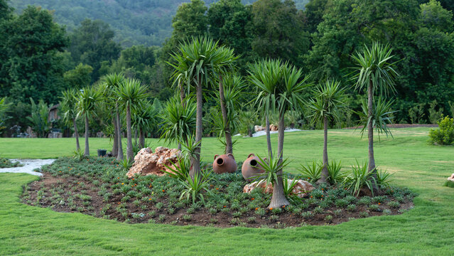 botanic garden in the summer time