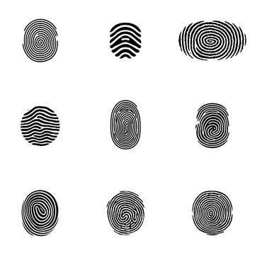 Set of fingerprints, vector illustration isolated on white background
