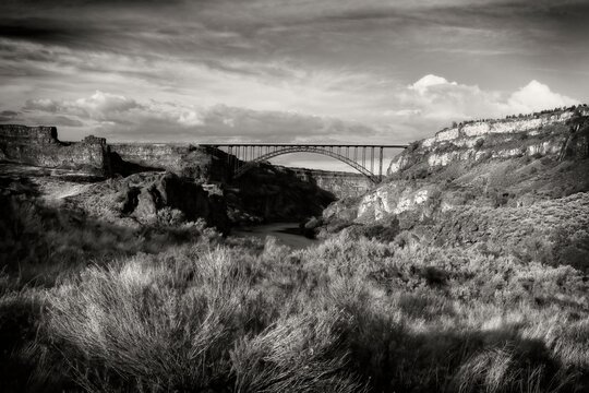 B&W of looking at the Perrine Bridge from a park.