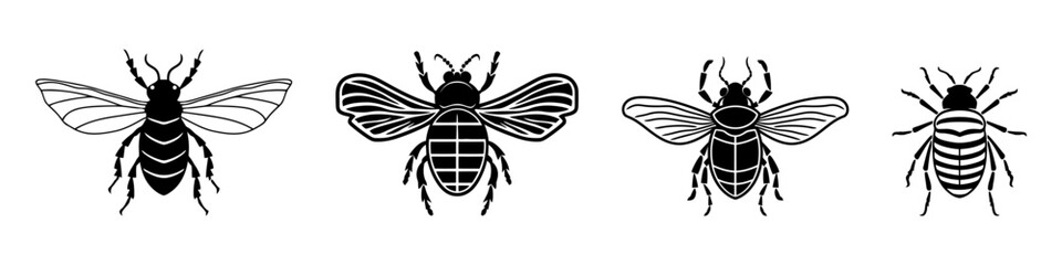 Set beetles insect black silhouette animal. Vector Illustrator