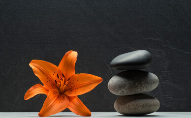 still life with orange lily and zen stones for product presentation podium background