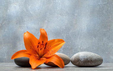 still life with orange lily and zen stones for product presentation podium background