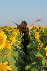 Summer day and happy young woman in the sunflower field with arms raised up. Young beautiful girl in a field of sunflowers.