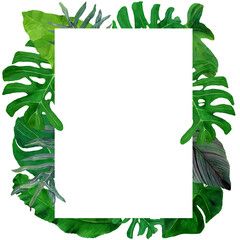 Watercolor hand drawn tropical leaves in a frame. Design for covers, tags, packaging, season decor, wallpaper. Wild green jungle. Rainy forest of Amazonia trees in border template.