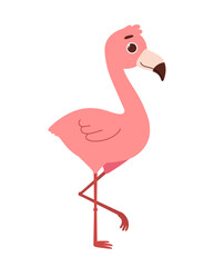 Summer flamengo vector concept