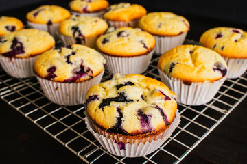 Close-up Low Angle View of Blueberry Muffins on a Cooling Rack: Freshly baked blueberry muffins on a wire rack viewed from above