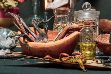 Bird’s parts feather and raven toes on witch’s altar for performing a black magic ritual....