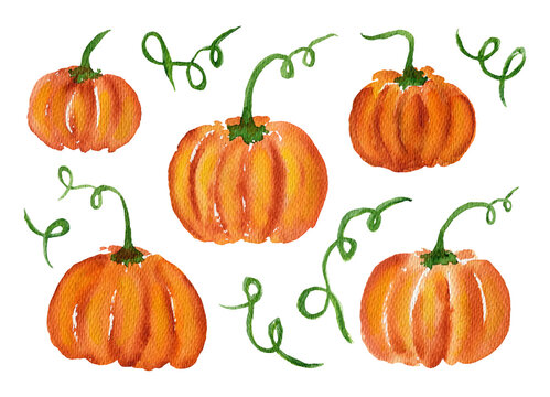 Cute hand drawn watercolor set of bright orange pumpkin with green tail twigs. Bright painting illustration of tasty vegetables for kitchen textile design, logo, sticker, market advertising