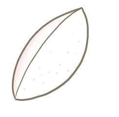 R:もっとメルヘンな水族館☆ペット　カトルボーン