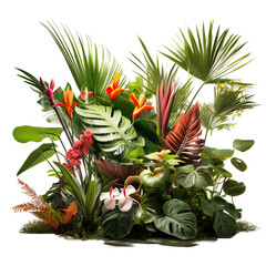 Obraz premium Tropical flowers and plant decorative bushes