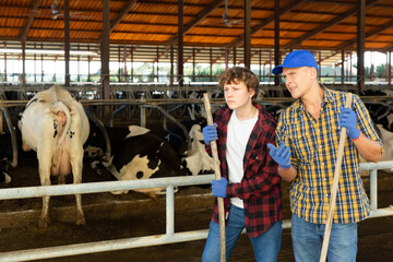 Fototapeta na wymiar Adult and young male farmers with working tools in hands standing in cowshed and talking.