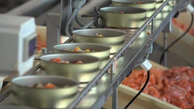 Canned Fish Production line in the factory and workers doing their job
