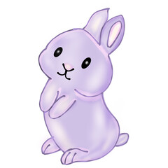 adorable rabbit