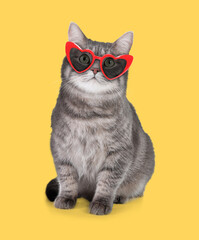 Cute fluffy cat with heart shaped sunglasses on yellow background