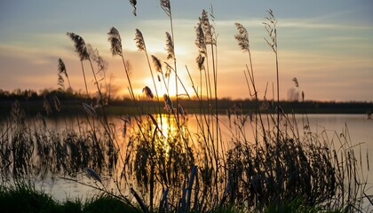 sunset over the lake