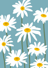 Fototapeta na wymiar Daisy flower background.Eps 10 vector.