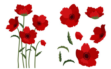 poppy flowers background.Eps 10 vector. - obrazy, fototapety, plakaty