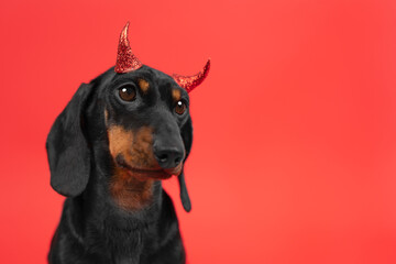 Tired dog on bright red background in devil fancy dress, horns. Sad defenseless puppy masks feelings of loneliness, innocence. Monster with sensitive vulnerable soul. Harmful naughty pet prankster