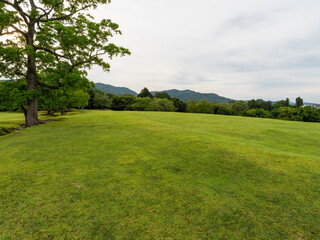Fototapeta na wymiar 新緑が広がる夏の奈良公園飛火野の風景