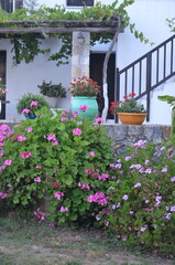 Greece in 2023 (Chania). 