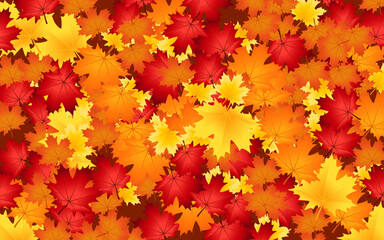 Naklejka na ściany i meble Autumn natural background, design, banner, or template. Yellow red leaves and dew are dropped on the ground. Autumnal landscape.