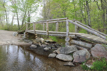 small, wooden bridge over a stream