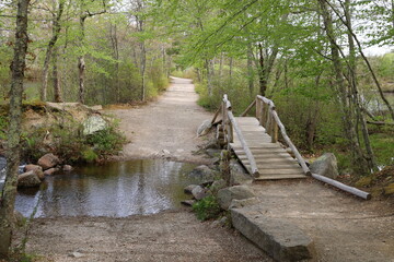 small, wooden bridge over a stream