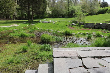 relaxing view from an abandoned pool
