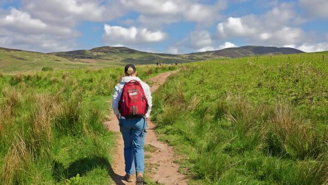 Rearview following a backpacker person hiking on trail on the west highland way, surrounded by grassy meadows and rolling hills, Scotland