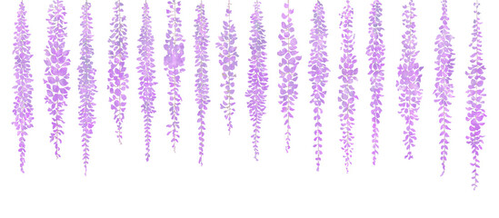  藤の花のアナログ風イラスト　神秘的な紫