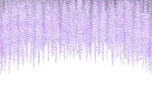 藤の花 Images – Browse 9,778 Stock Photos, Vectors, and Video