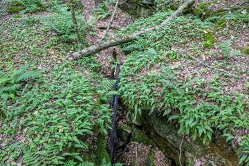 Beartown State Park, WV