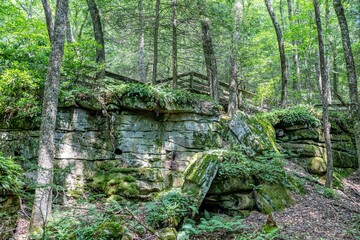 Beartown state park, WV
