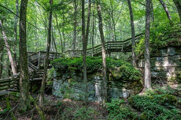 Beartown State Park, WV