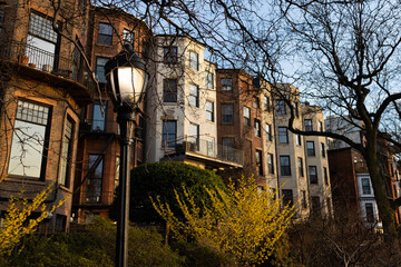 Park Light and Colorful Old Residential Buildings along the Brooklyn Heights Promenade in New York City