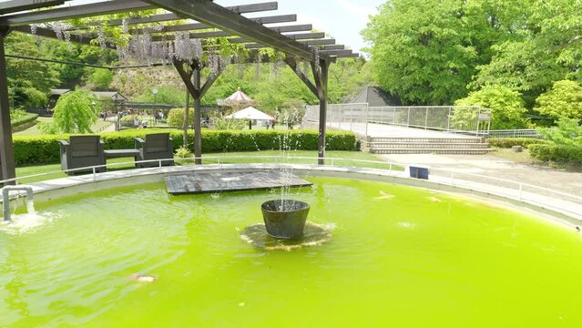 池と噴水