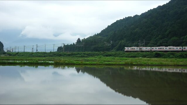 初夏の伊吹山麓を走る313系普通列車 （東海道本線 近江長岡 - 柏原, 2023年6月）