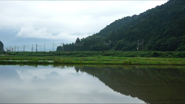 初夏の伊吹山麓を走るHC85系特急ひだ （東海道本線 近江長岡 - 柏原, 2023年6月）
