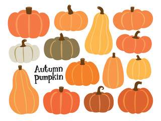 海外風の秋のかぼちゃセット