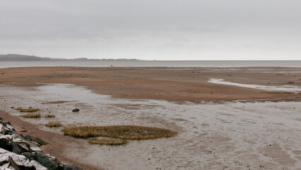 vue sur le bord du fleuve lors d'une marée basse avec fond visible en automne lors d'une journée ennuagée