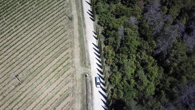 White country Road in Tuscany. Vertical drone view.
