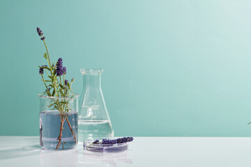 Laboratory concept with beaker, conical flask and petri dish of purple fluid and lavender flowers....