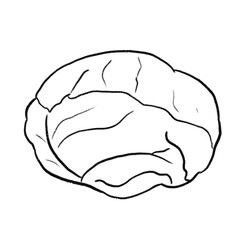 Vegetable hands drawn 