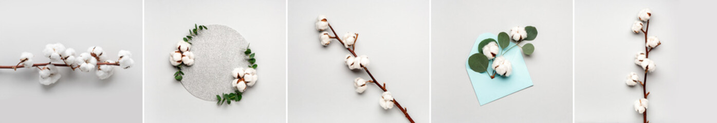 Collage of soft cotton flowers on light background