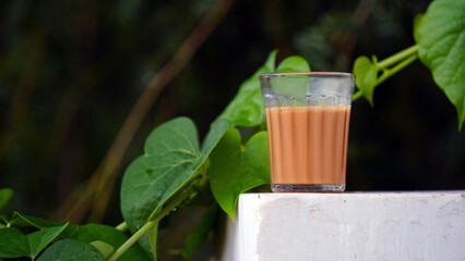 Fresh Milk Tea, Black tea Chai traditional beverage.  Tea good in winter for immunity boosting. The...