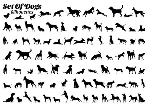 Set of vector silhouettes of various types of dogs.