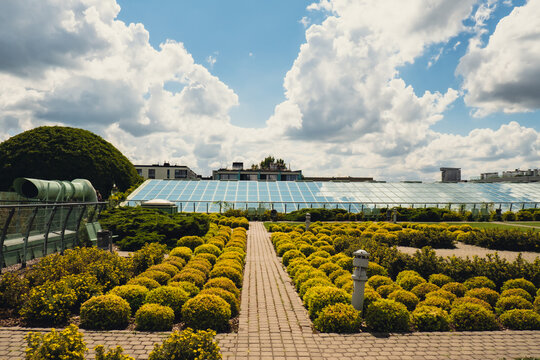 Botanical garden on the roof of the Warsaw University library modern architecture and greenery. Sustainable building architecture futuristic biophilia design. Ecological green modern building. Modern