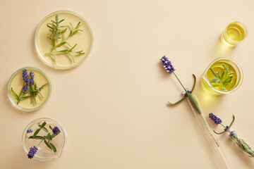Laboratory glassware containing yellow essential oil and lavender flowers displayed on beige background. Blank space in the middle for product advertising of Lavender (Lavandula) extract