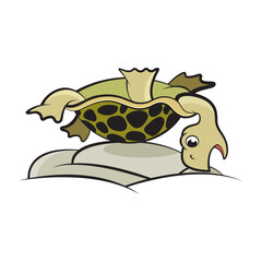 fallen tortoise vector icon